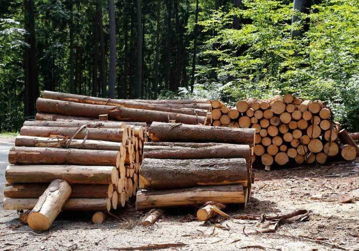 Production bois de chauffage Rilhac-Lastours