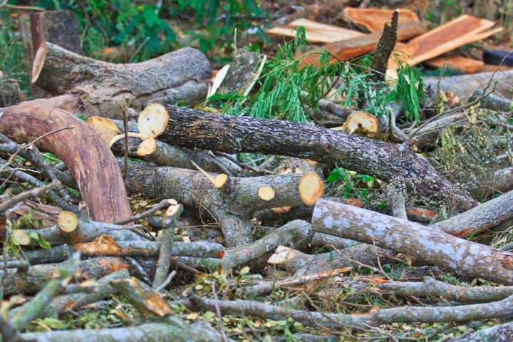 Livraison bois de chauffage Rilhac-Lastours